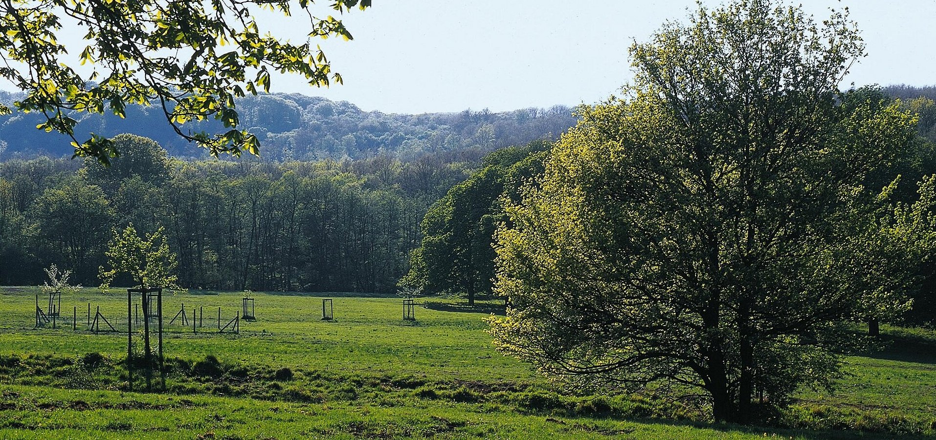 Umgebung Lainzer Tiergarten