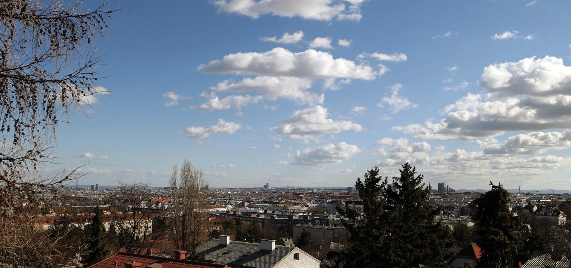Aussicht vom Grundstück