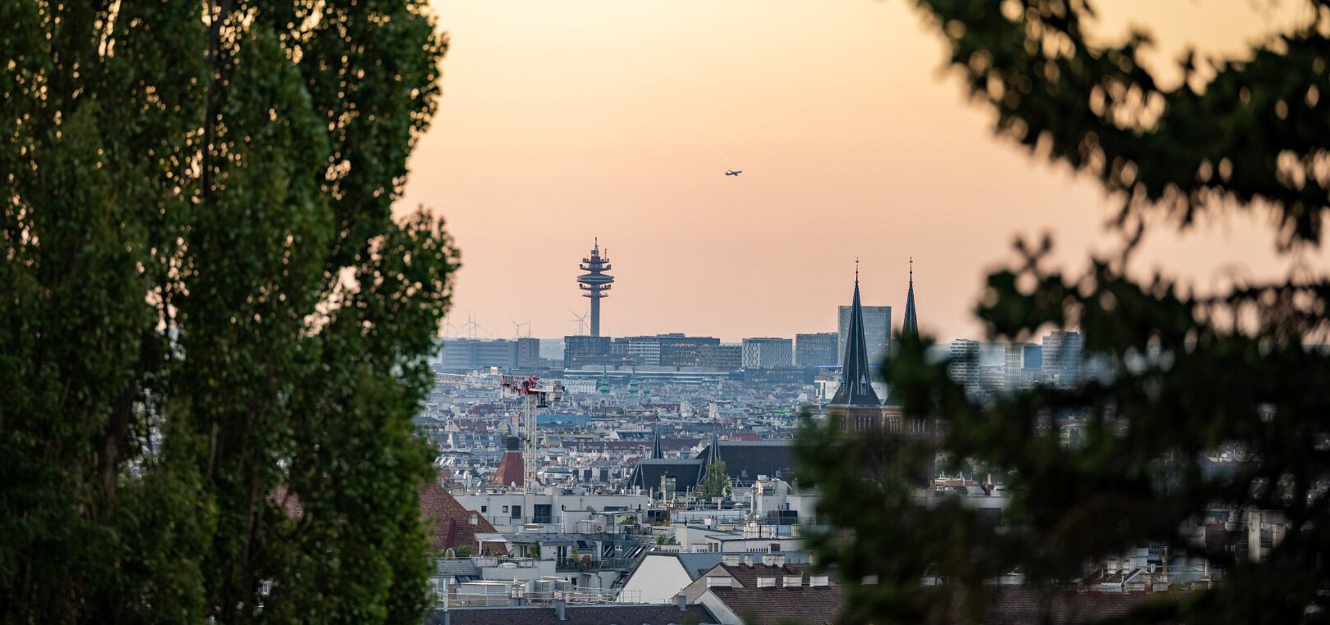 Ausblick vom Grundstück