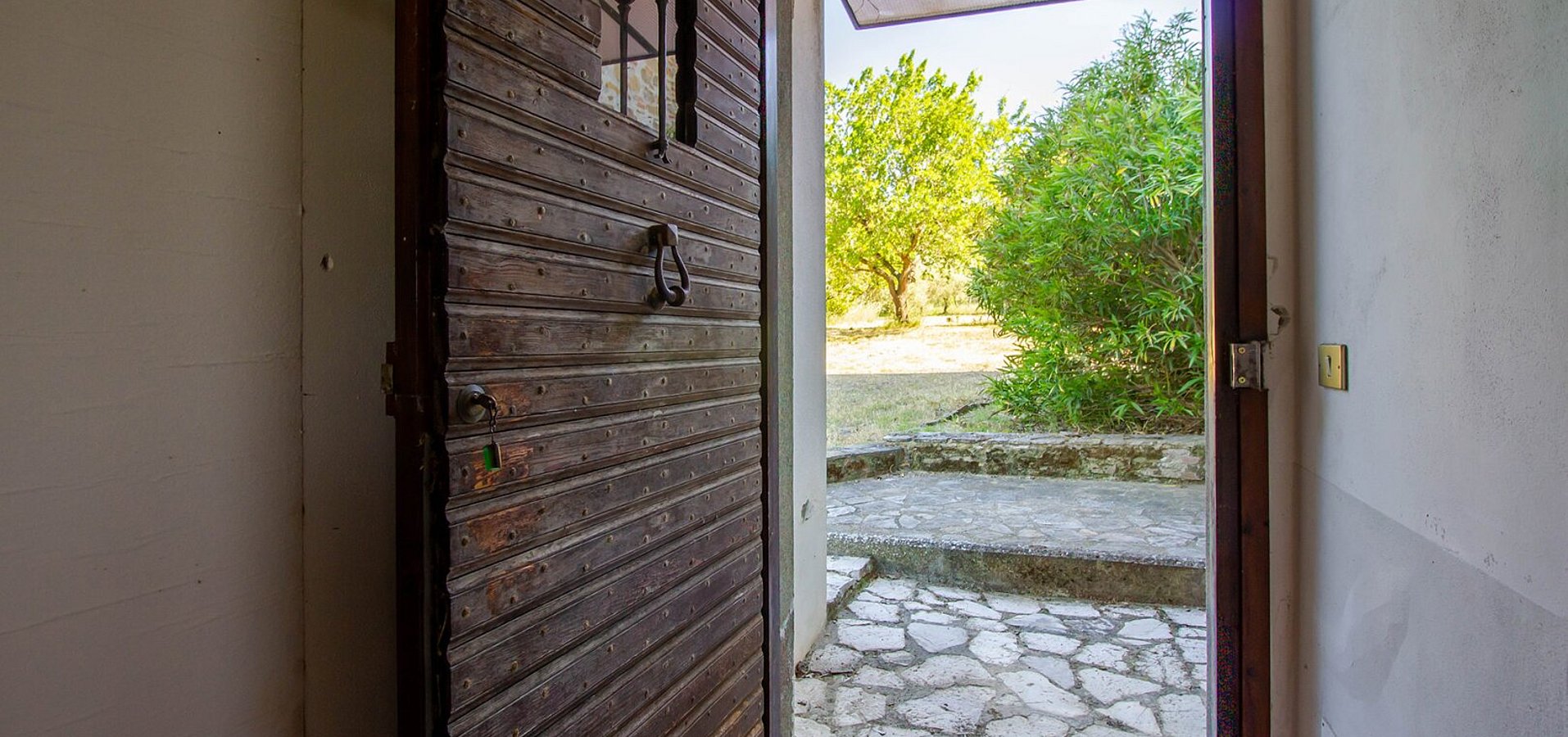 Blick in den Garten