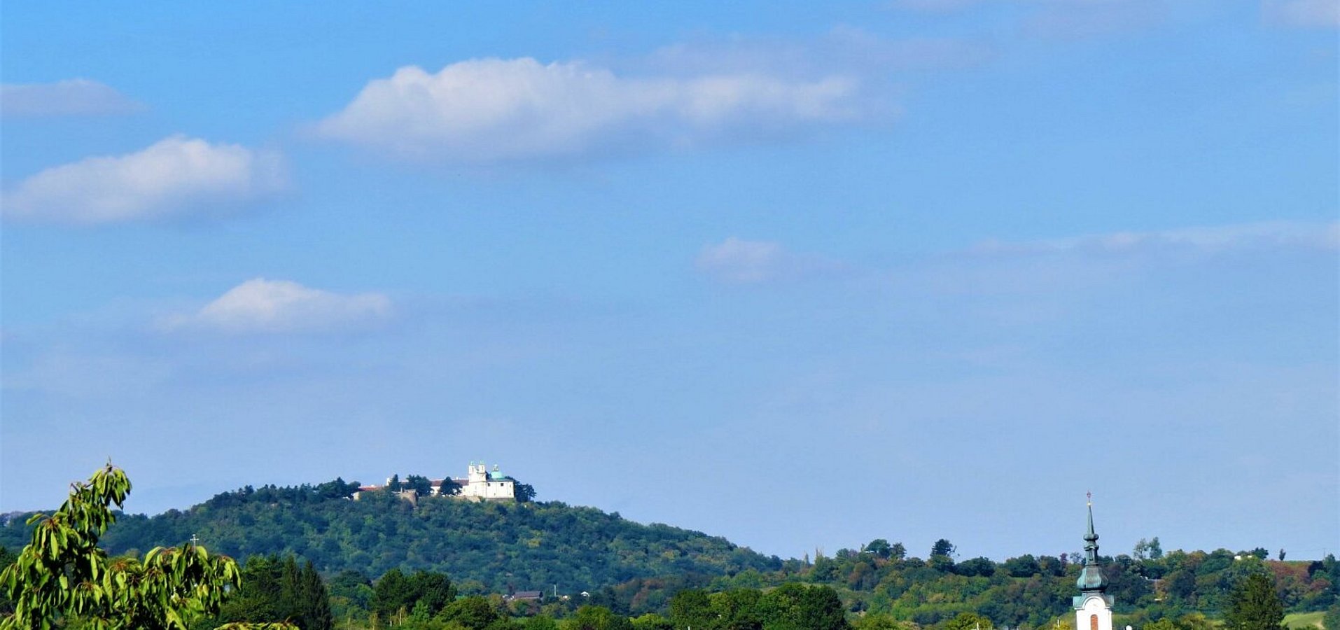 Ausblick Leopoldsberg